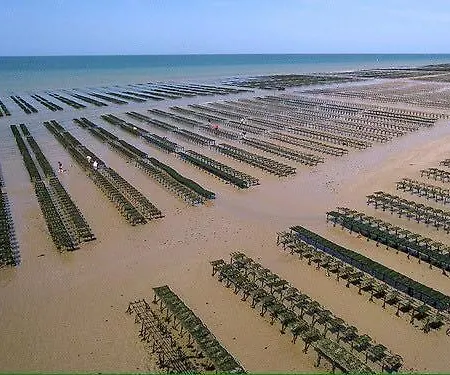דירה Campagne Plain Pied Centre Avec Terrasse Privative Et Jardin Amenage Commun Proche Des Plages Du Debarquement - Parking Gratuit A Proximite באיו